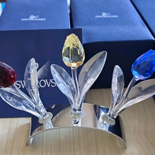 Swarovski scs tulips plus - x, 3