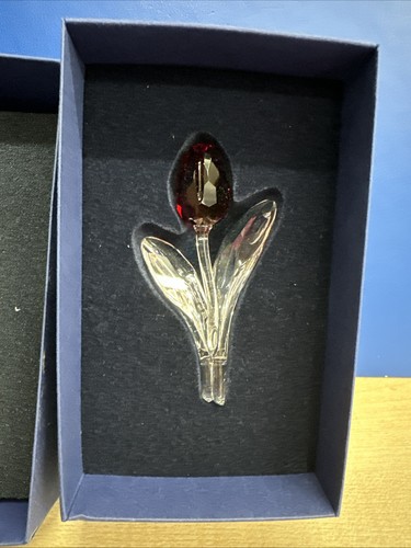 Swarovski scs renewal gift - scs,