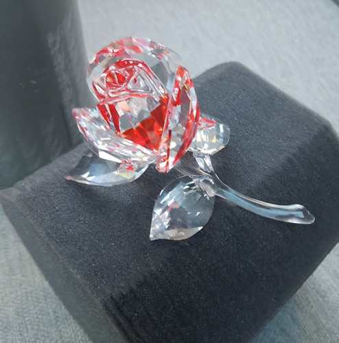 Swarovski crystal 2019 large - 2019,