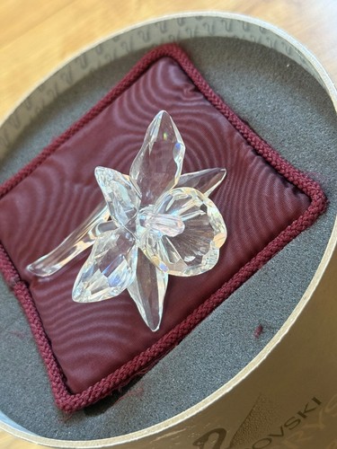 Swarovski crystal orchid - swarovski,